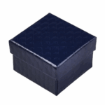 ed1c55d7 8864 4b7b a053 c6a0500342d8 removebg preview (1)